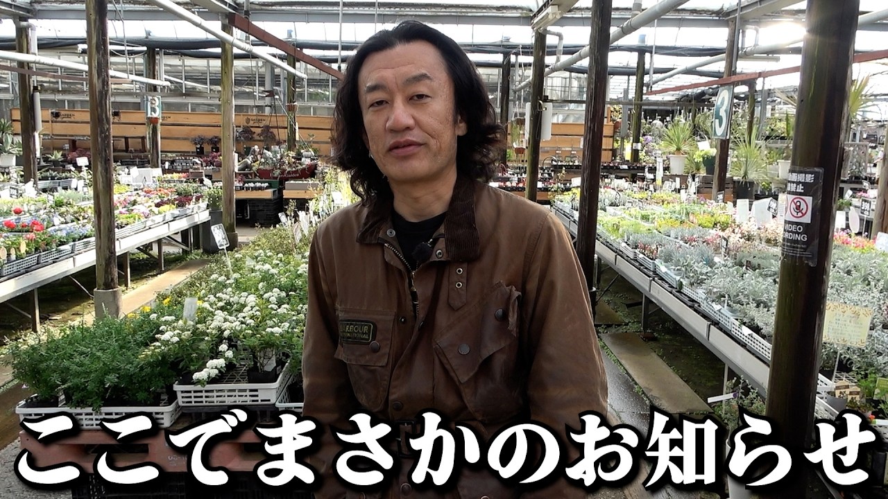 雑談からまさかの急展開・・・！！！！【カーメン君】【園芸】【ガーデニング】