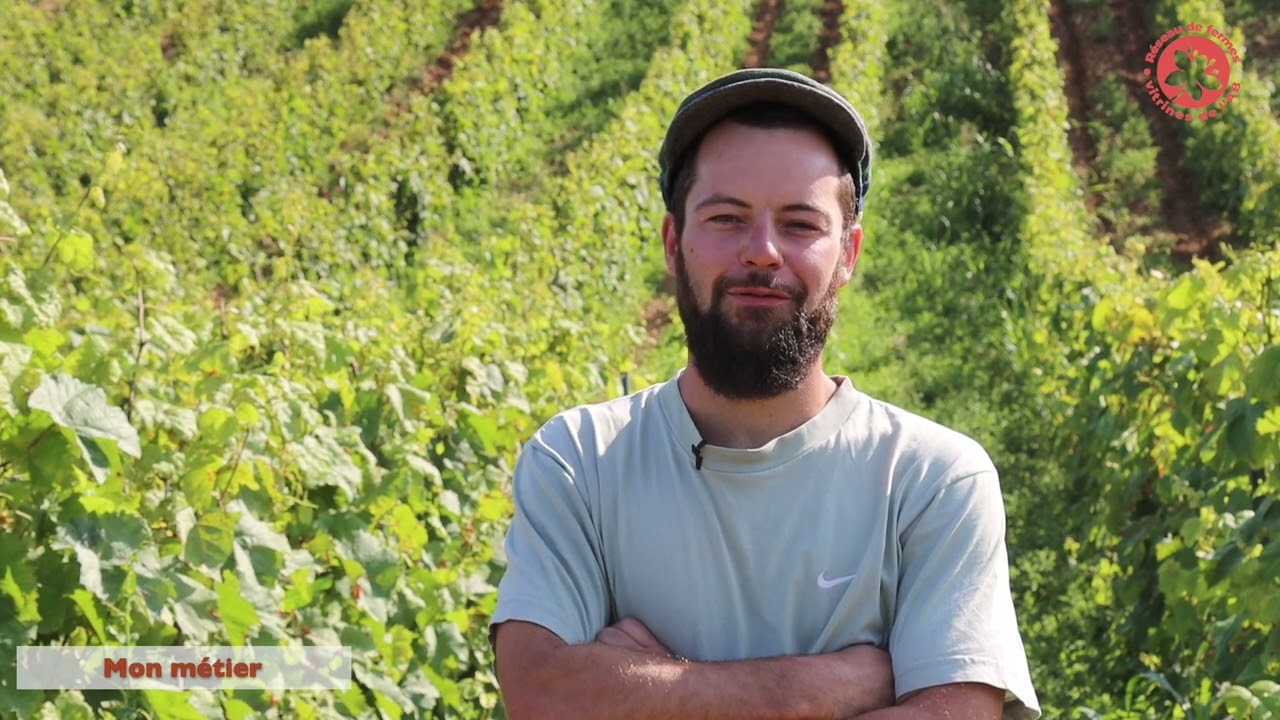 Découvrez mon métier de vigneron bio!