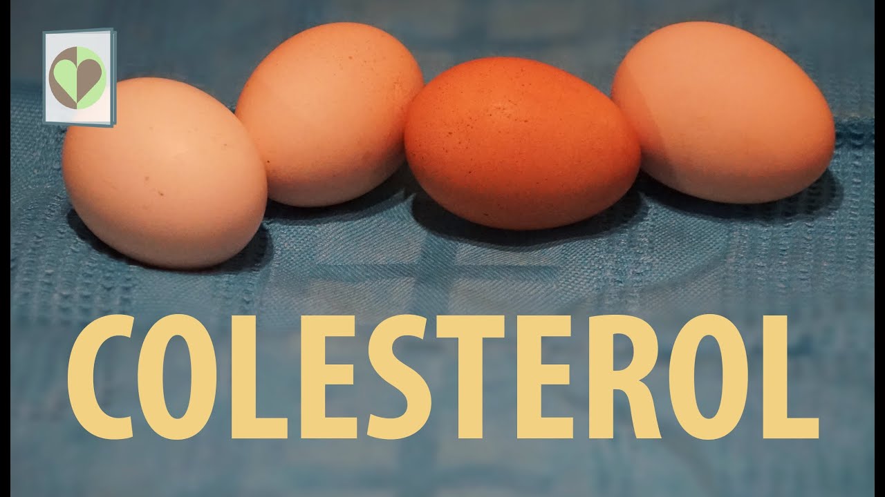“Coma alimentos com baixo colesterol!” | The Big Fat Surprise - Nina Teicholz