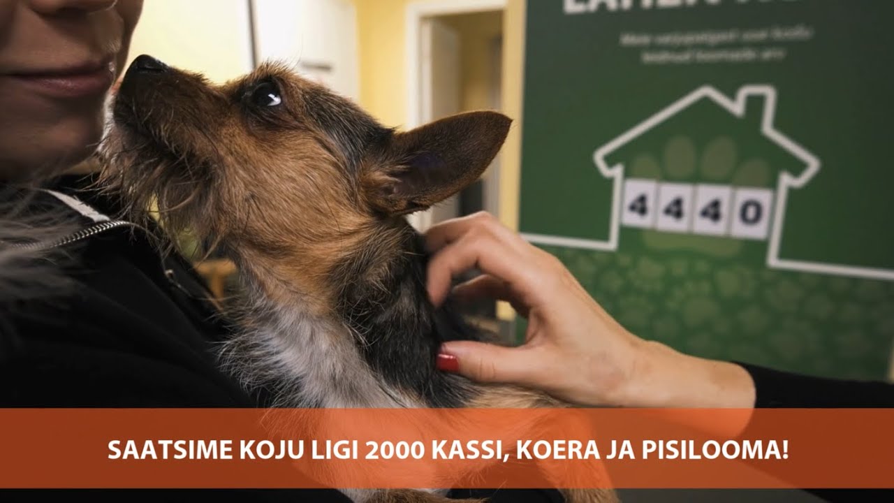 Aitäh püsiannetajatele!
