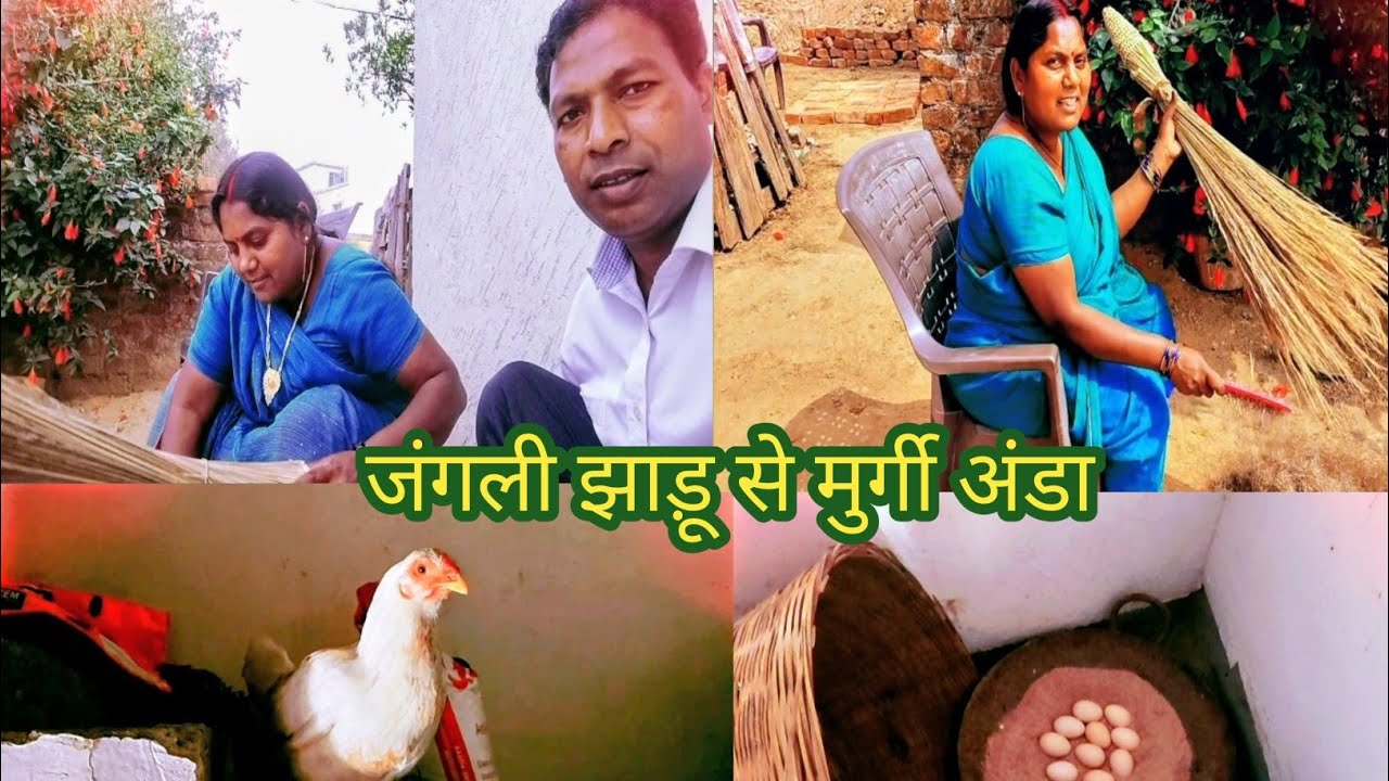 घर की मुर्गी अंडे पर बैठी | देसी जिंदगी और जंगली झाड़ू से सफाई 🐔