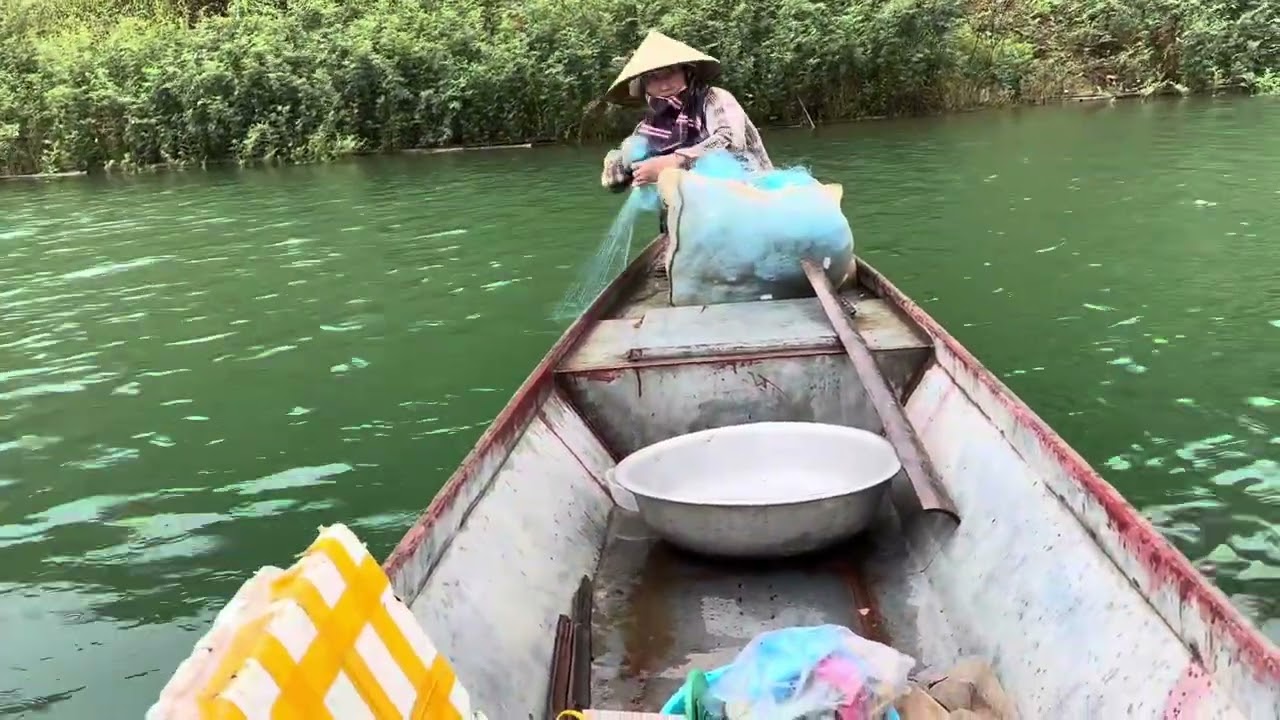 Nước Lên cỏ xanh vỡ toàn chép to￼