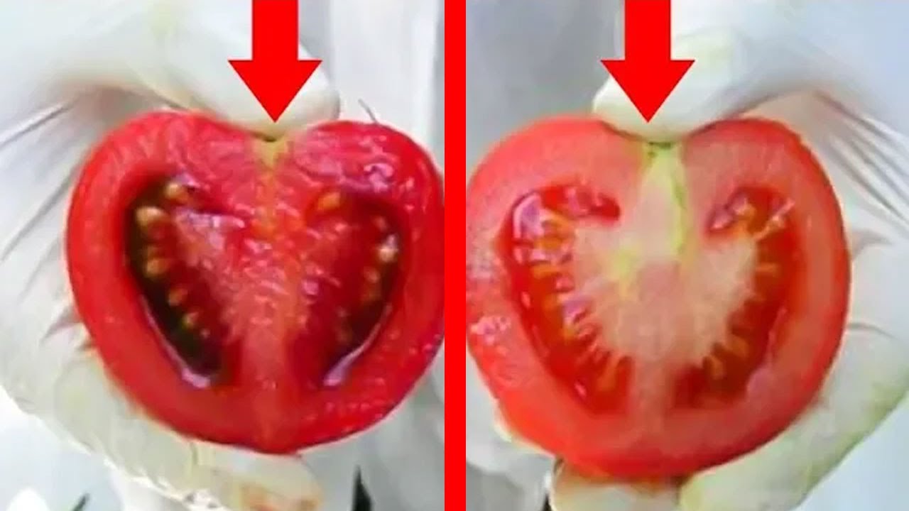 Самые известные гмо продукты которые мы едим каждый день