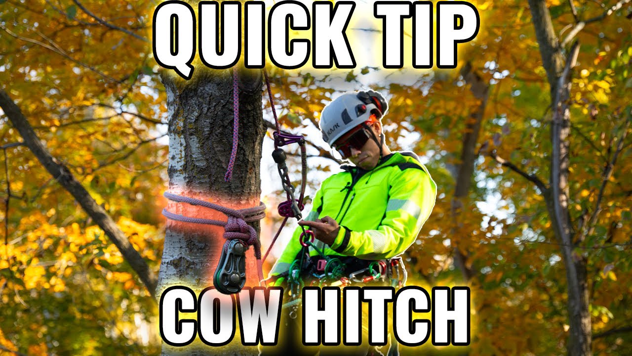 Quick Tip: Tying a Cow Hitch WHILE Aloft!
