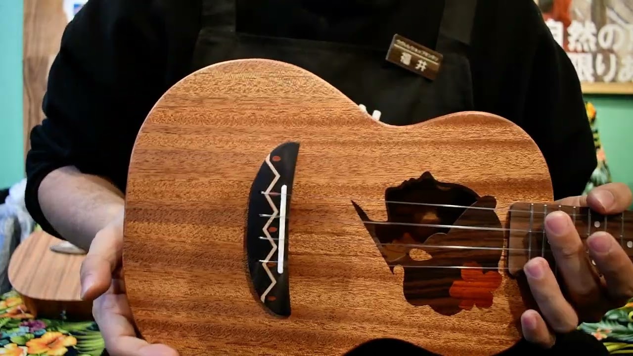 NEW/TODO MUSIC UTD-W20C Concert【お茶の水店】 @ukuleleshoptantan