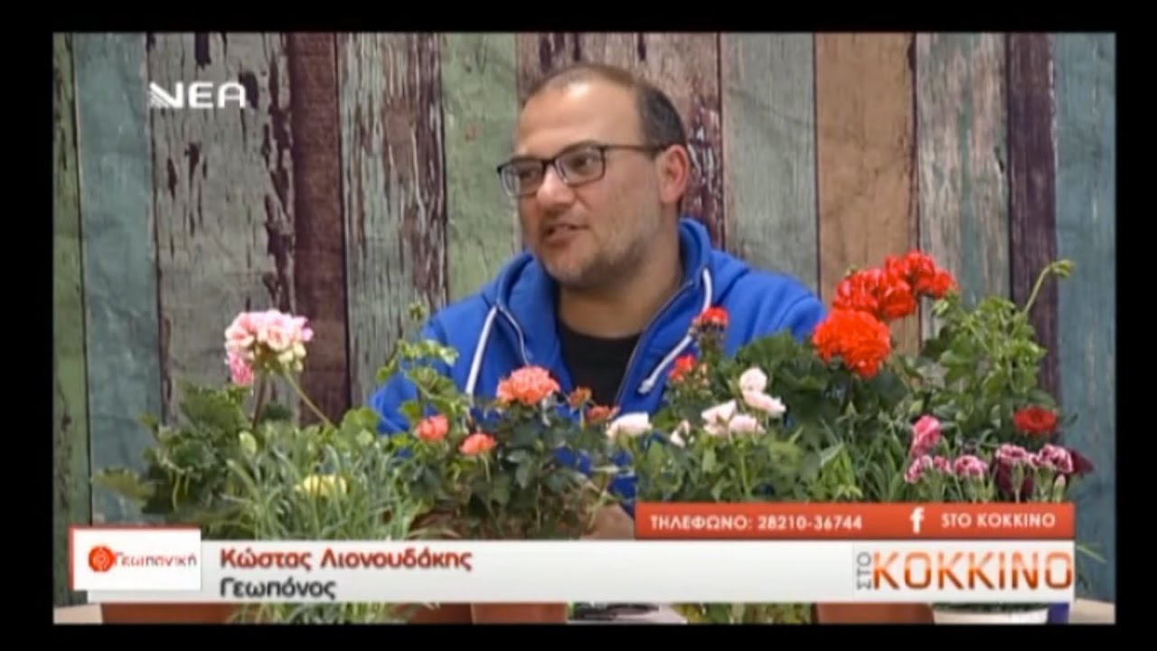Τριανταφυλλιά, Γαρυφαλλιά και Γεράνι - Ο Κώστας Λιονουδάκης στη 