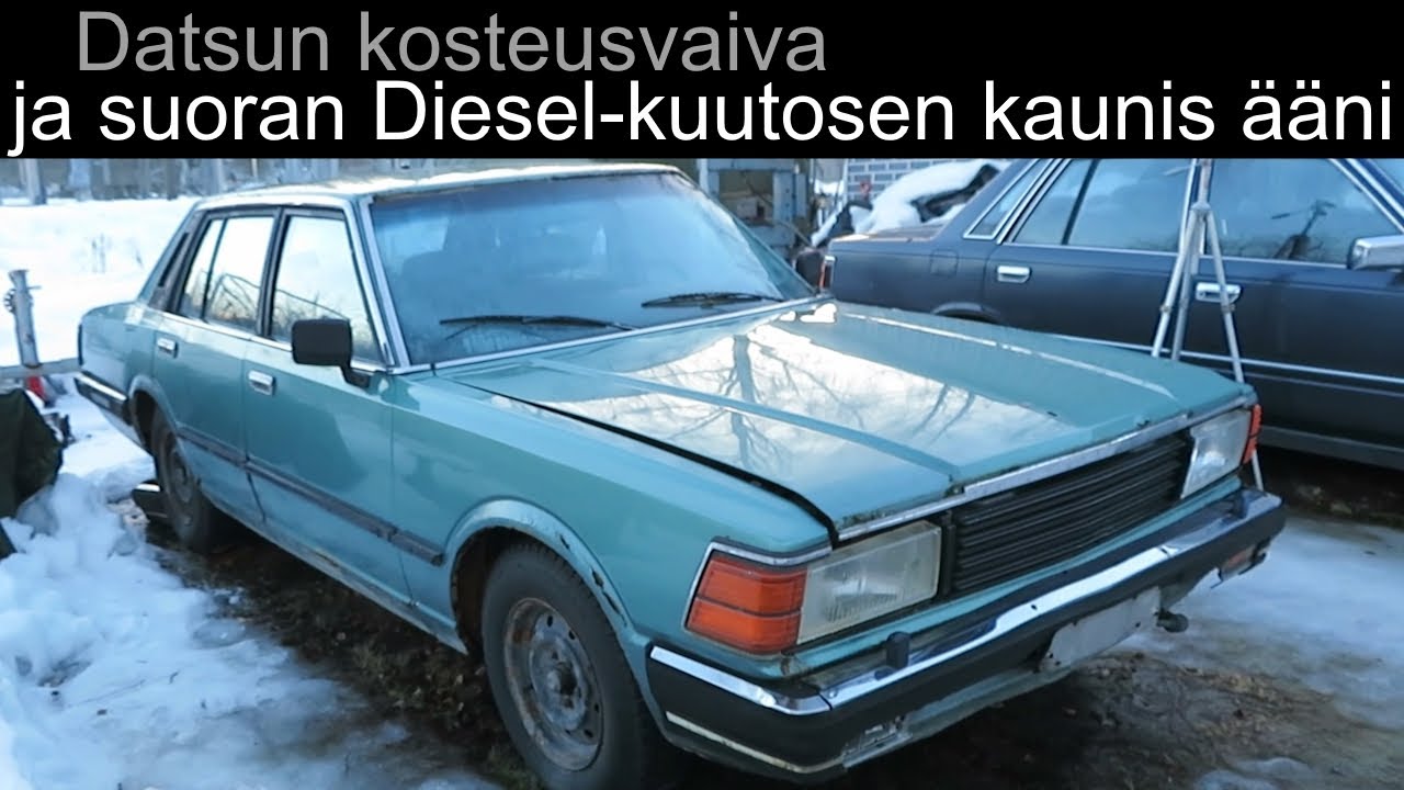 Datsun Cedric kosteana ja suoran Diesel-kuutosen kaunis ääni