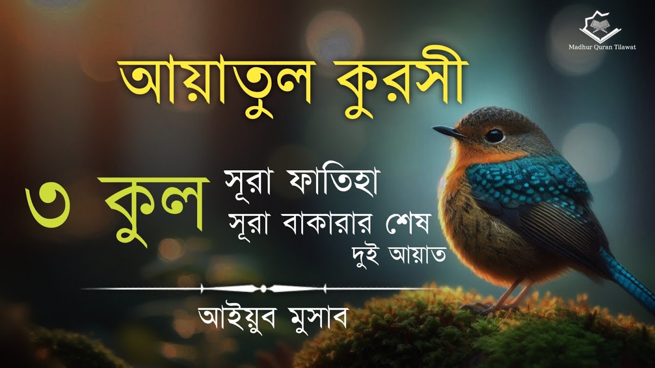 ৩ কুল, আয়াতুল কুরসী, সূরা ফাতিহা,সূরা বাকারা শেষ দুই আয়াত┇Start Your Day with Barakah |Ayoub Mosab