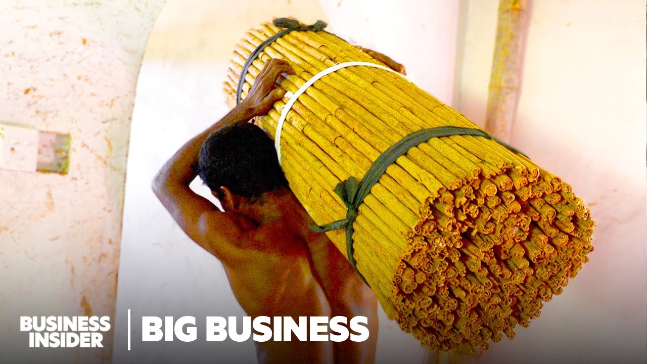 How The World’s Most Expensive Cinnamon Is Produced
