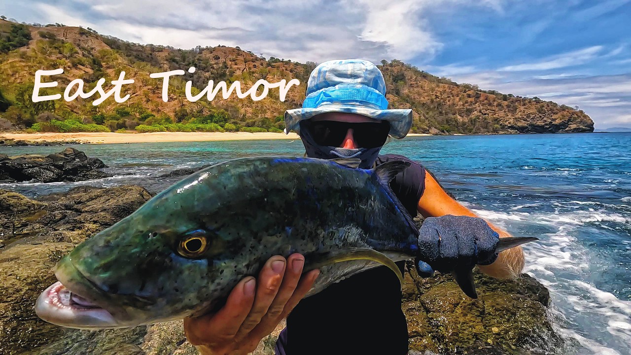 Camping Alone in Timor Leste 🇹🇱🏞️🏝️ | Wild Fishing Adventure Trip 🦈🐡