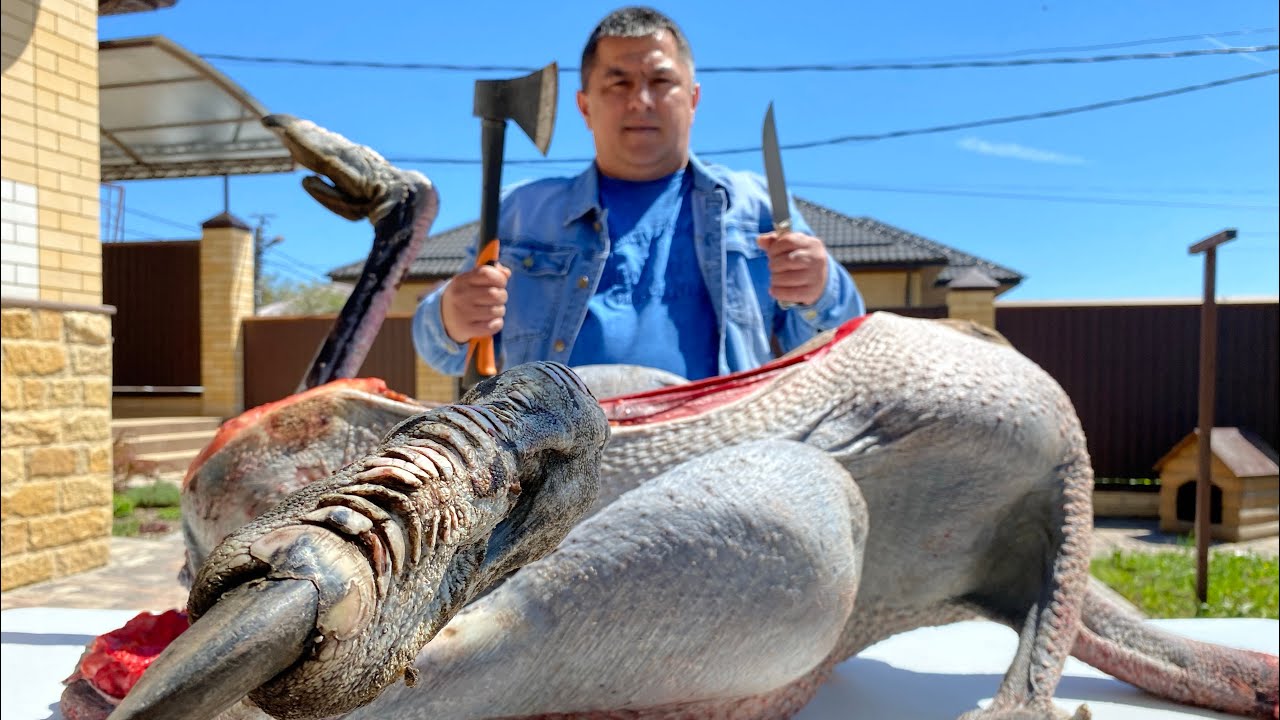 Готовим Мясо Страуса 125 кг! Шашлык из Страуса / Мясо Страуса В Казане На Костре