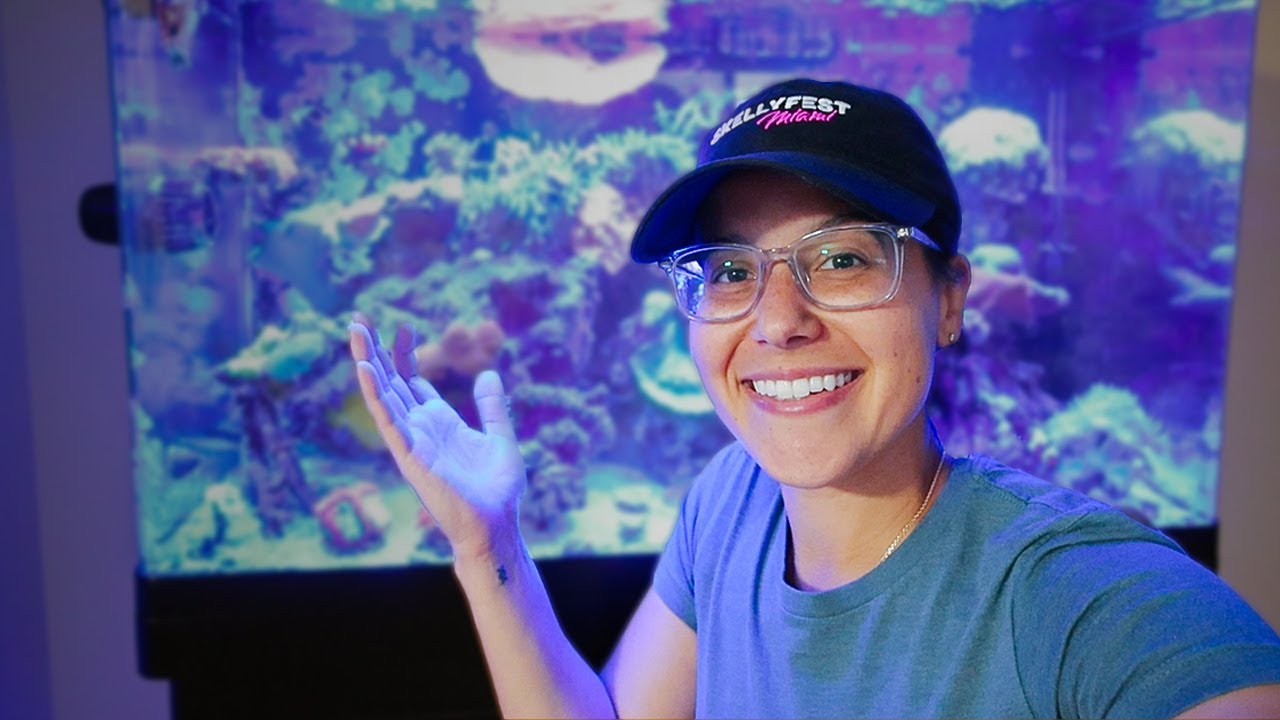 A Classic Reefing Adventure