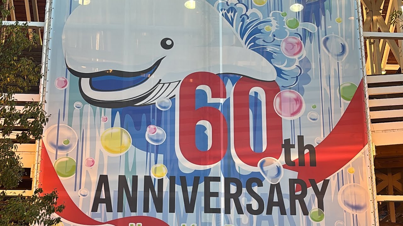 ハイブリッドコースター白鯨