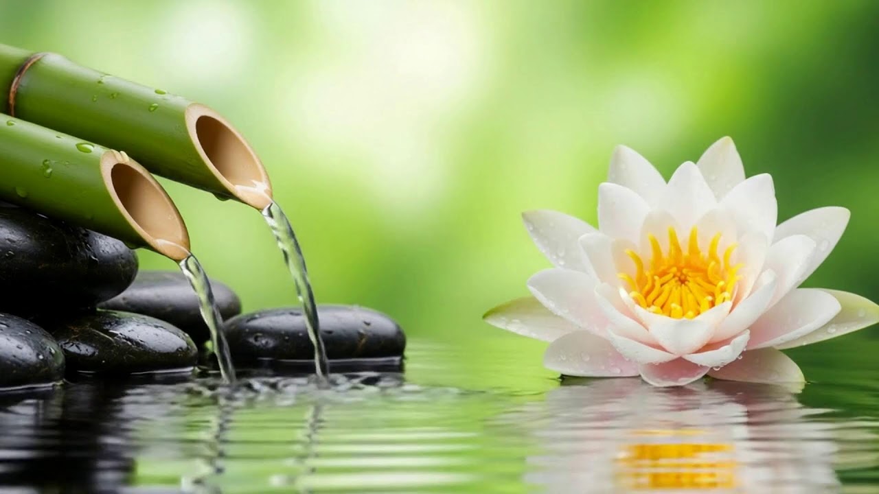 The Serenity of Water for Stress Healing – Soothing Music for Meditation, Sleep and Relaxation