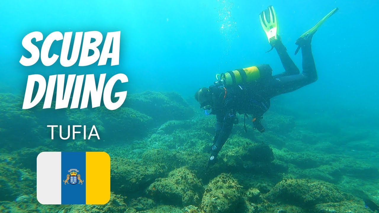 Scuba diving volcanic reef | Tufia | Gran Canaria | March 2022