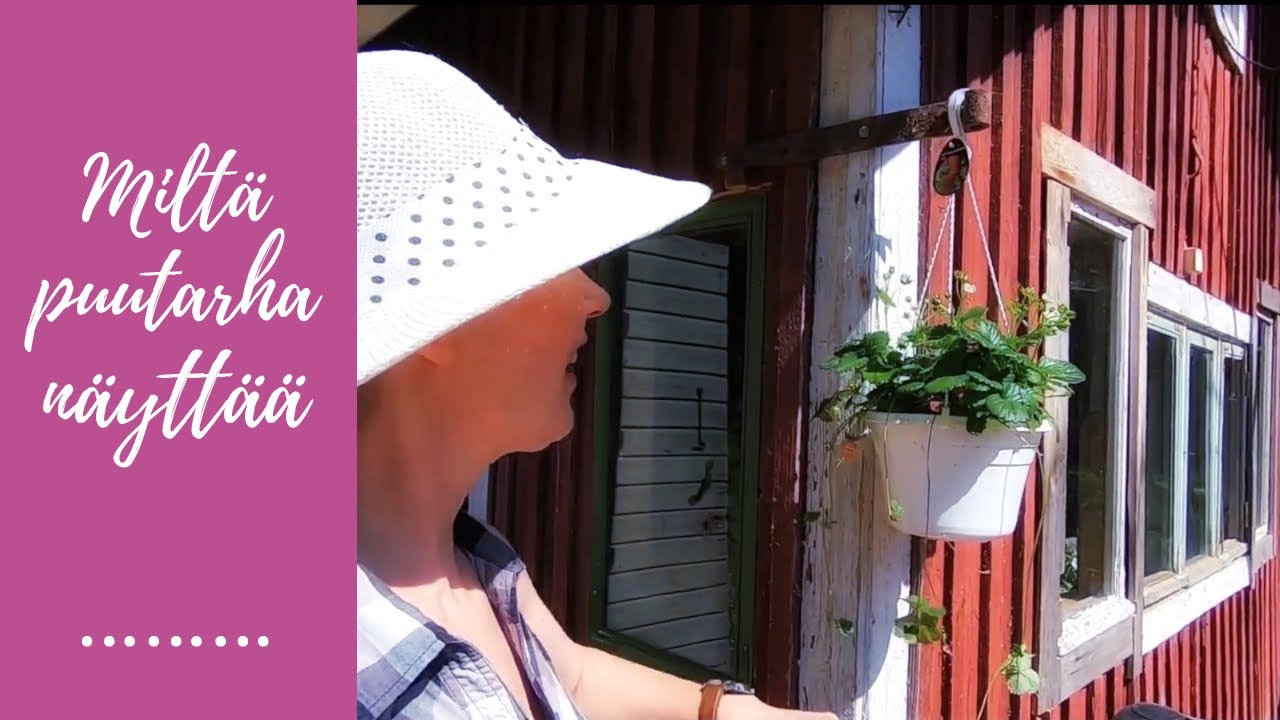 Miltä puutarhassa näyttää nyt toukokuun lopussa - mitä tontilla on saatu aikaiseksi? // Vlogi