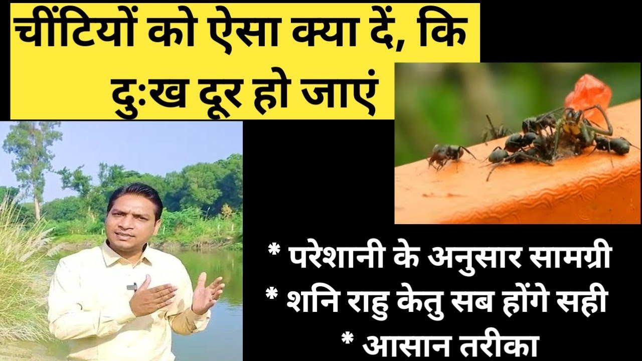 परेशानियों के अनुसार चींटियों को क्या देना चाहिए | Best Remedy to Cure Planets