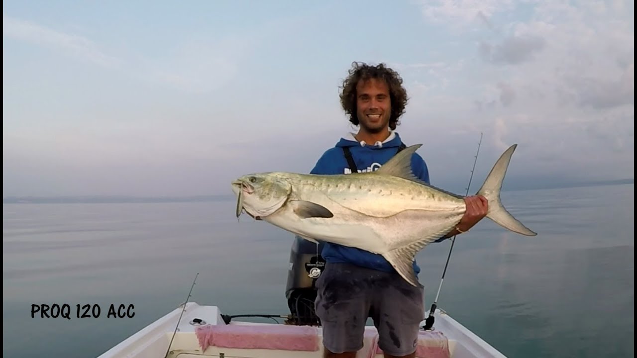 Leccia a Spinning  Super Attacco Wtd
