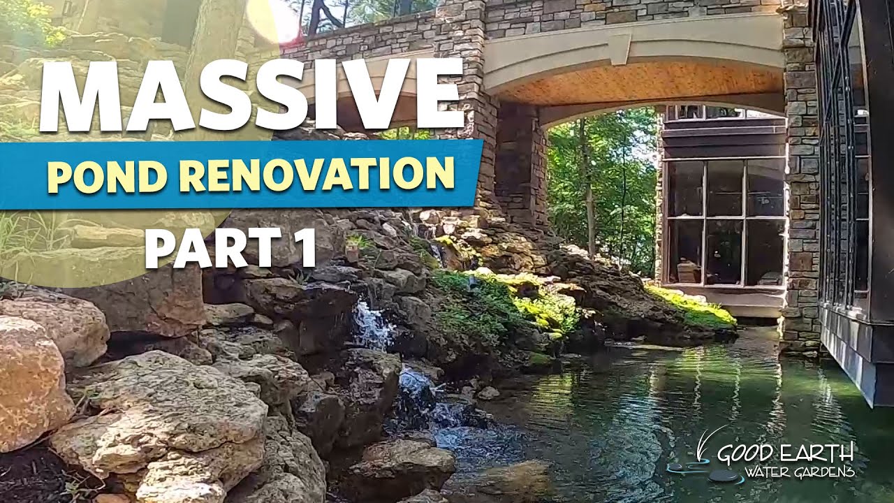 MASSIVE Spring-fed Koi Fish Pond Renovation with a Moat: Part 1