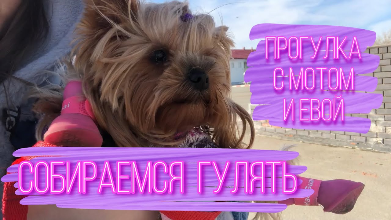 Что я беру на прогулку для Евы | Собираемся гулять