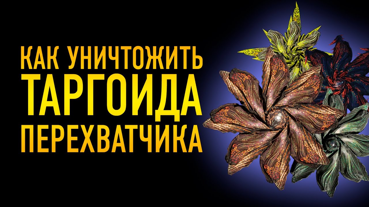 КАК УНИЧТОЖИТЬ ТАРГОИДА ПЕРЕХВАТЧИКА СОЛО И БЕЗ ФАОФА Elite Dangerous Odyssey