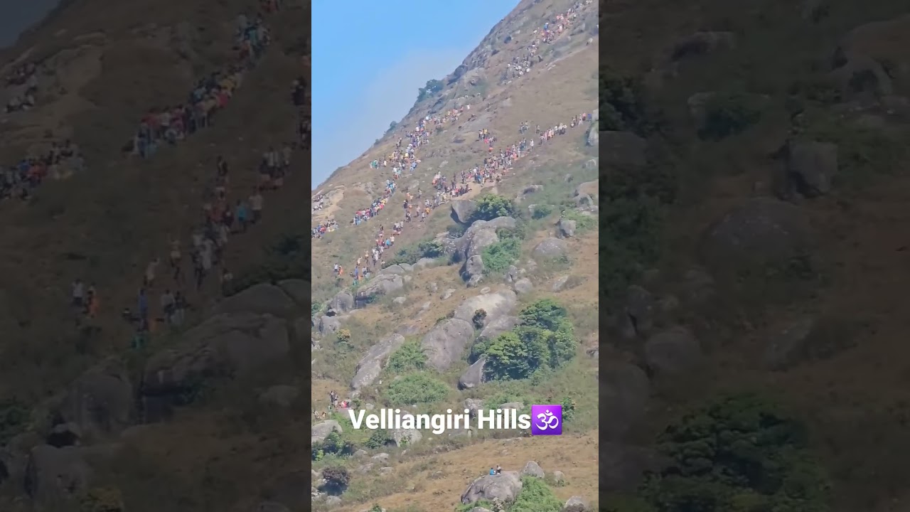 Velliangiri Hills - Trekking @ Southern Kailash🕉 #velliangirihills #lordshiva  #velliangiri