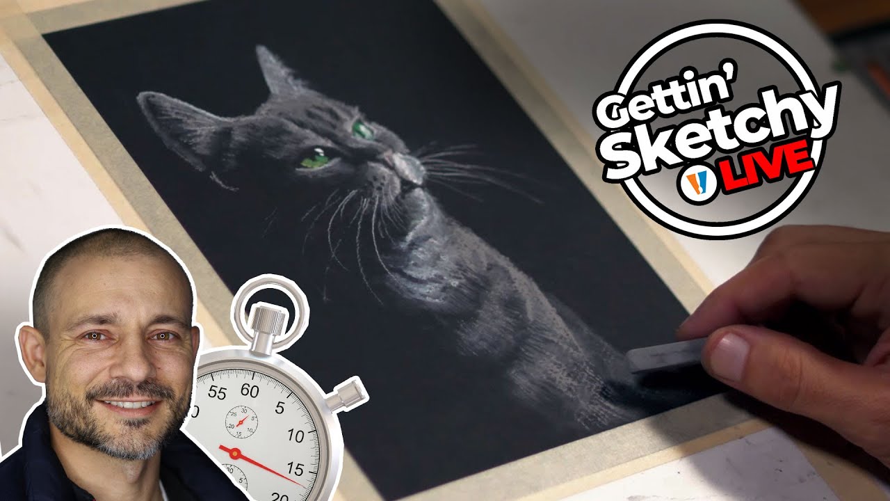 Cat Drawing with Pastels - Gettin' Sketchy