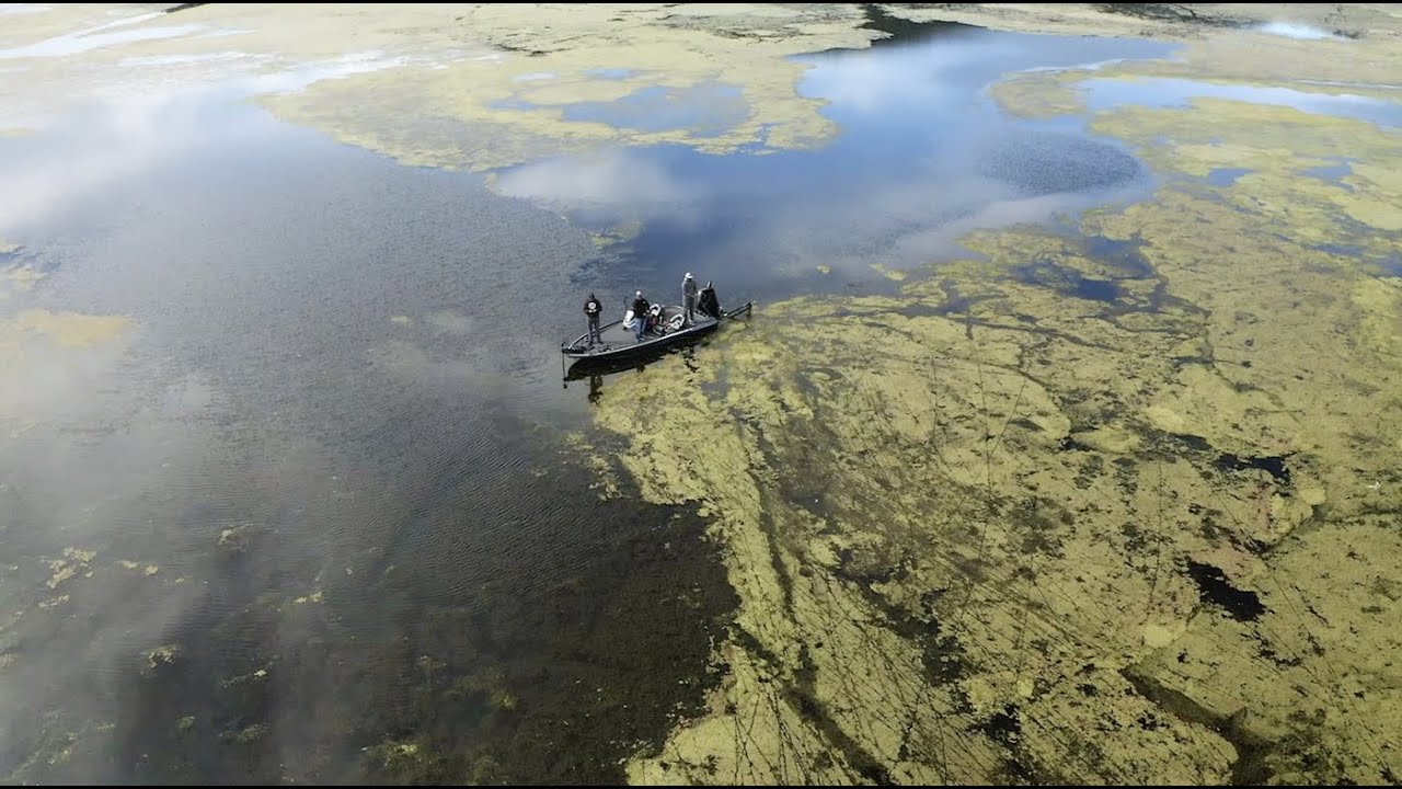 NICKAJACK LAKE With Pro Angler BUDDY GROSS | Sweetwater TV