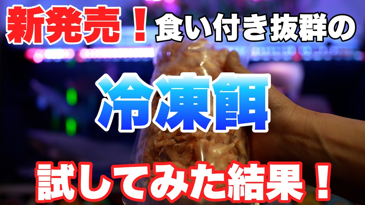 【新発売の冷凍餌！】嗜好性良すぎ！偏食のアロワナがガツガツ食い付く冷凍餌！　熱帯魚　アクアリウム　大型魚