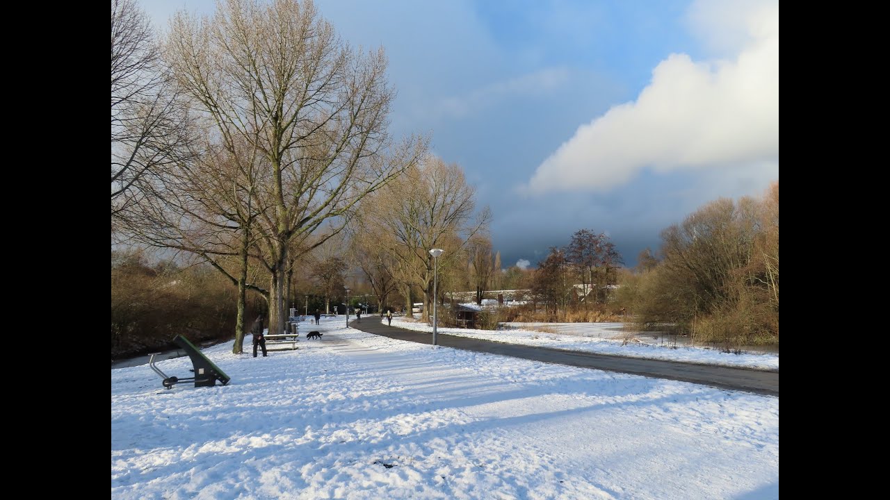 Een witte wereld in het Westerpark Amsterdam-West / 06-01-2026