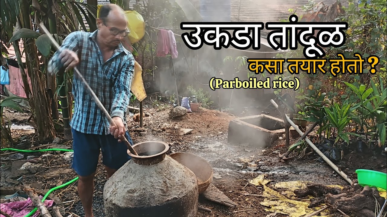 उकडा तांदूळ कसा तयार करतात🌿ll #parboiledrice #villagelife 