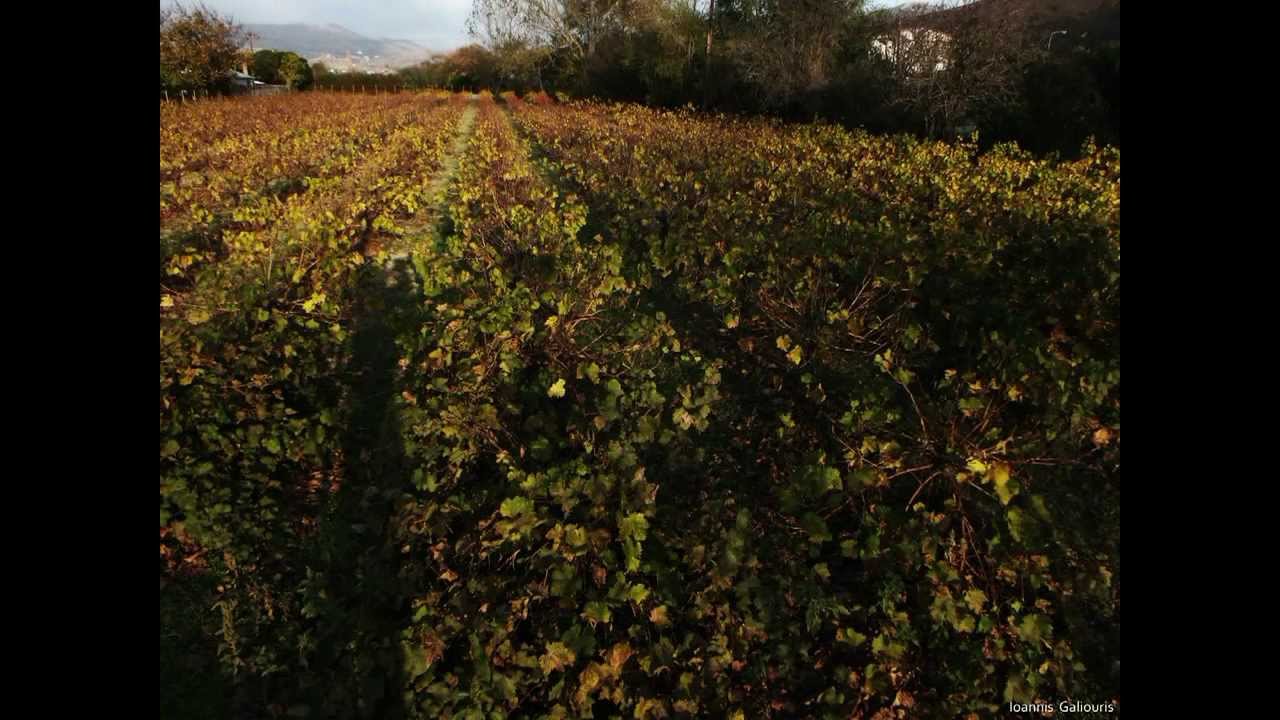 ΛΗΜΝΟΣ : Η μπαλάντα της εποχής