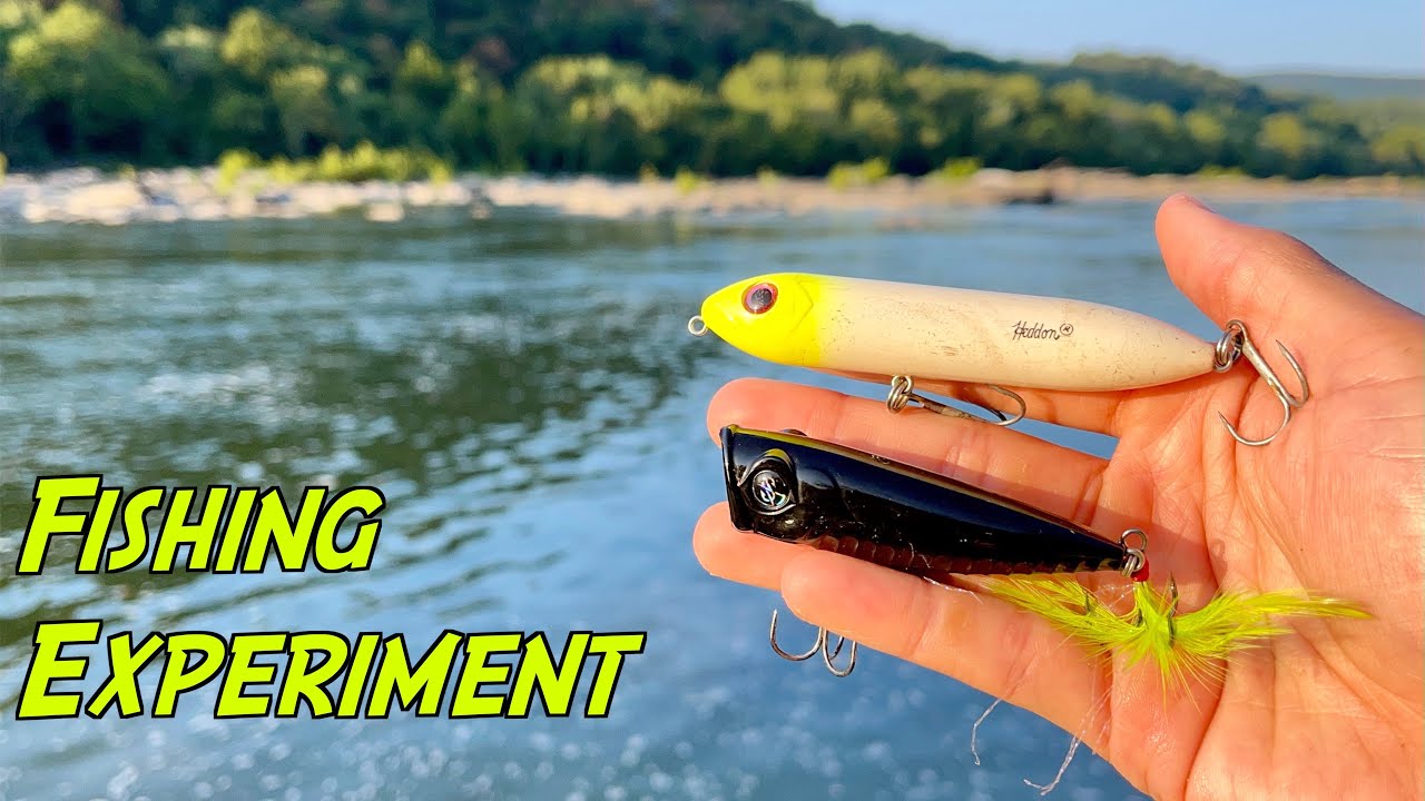 FISHING EXPERIMENT: Spook vs. Pooper!! Which Catches MORE River Smallies?