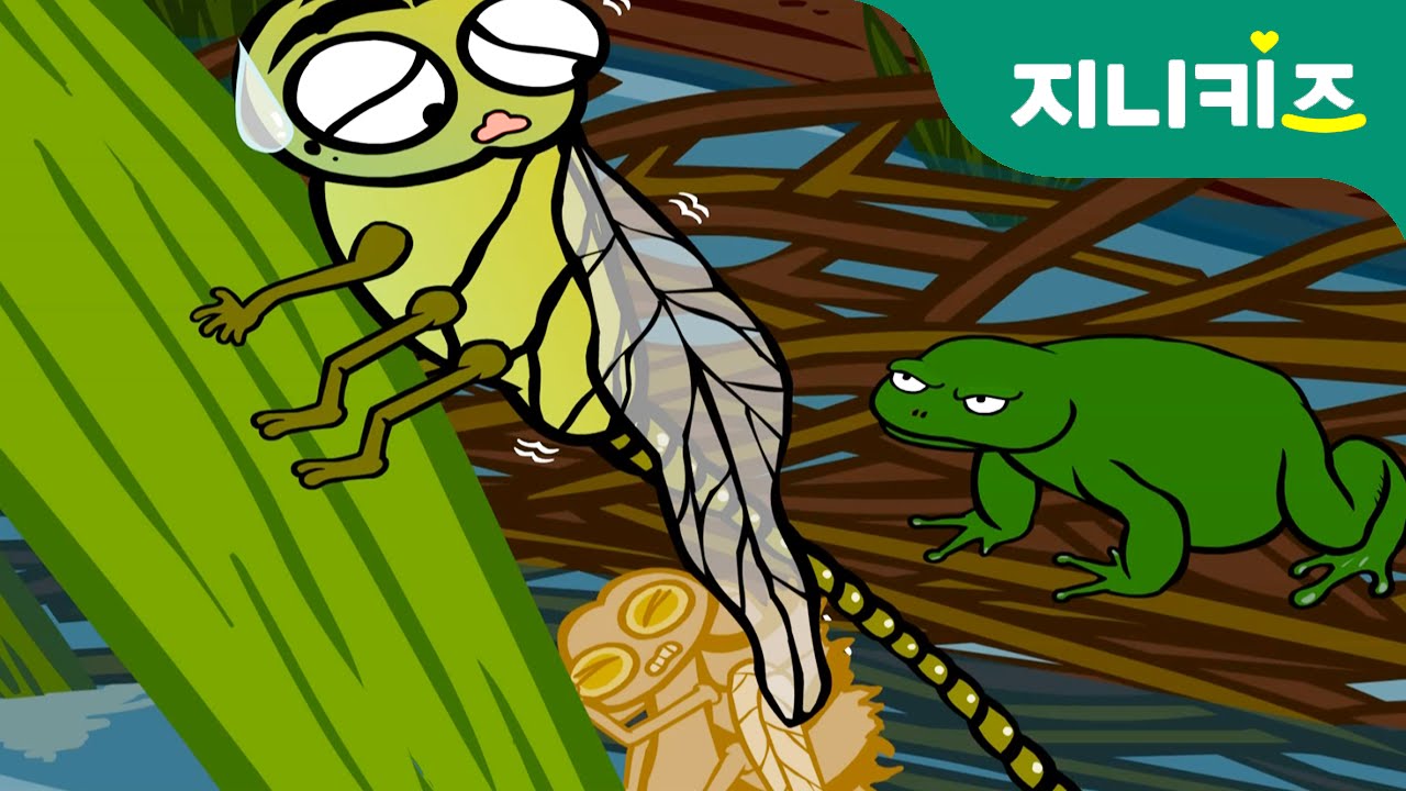 왕잠자리 이야기 #2 (dragonfly) | 생생자연도감 | 어린이 자연관찰 Kids Science | 과학동화