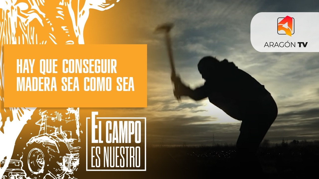 Hay que conseguir leña sea como sea