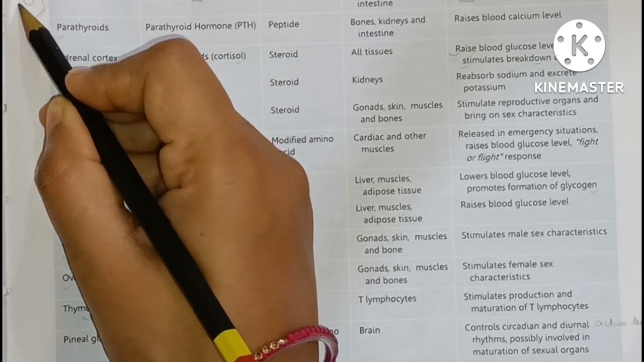 endocrine glands and their harmones.....