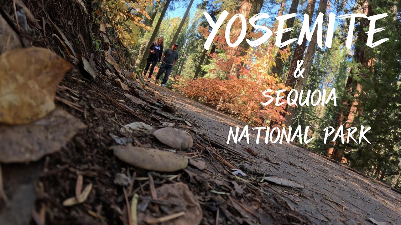 Sequoia & Yosemite, la nature en grand format