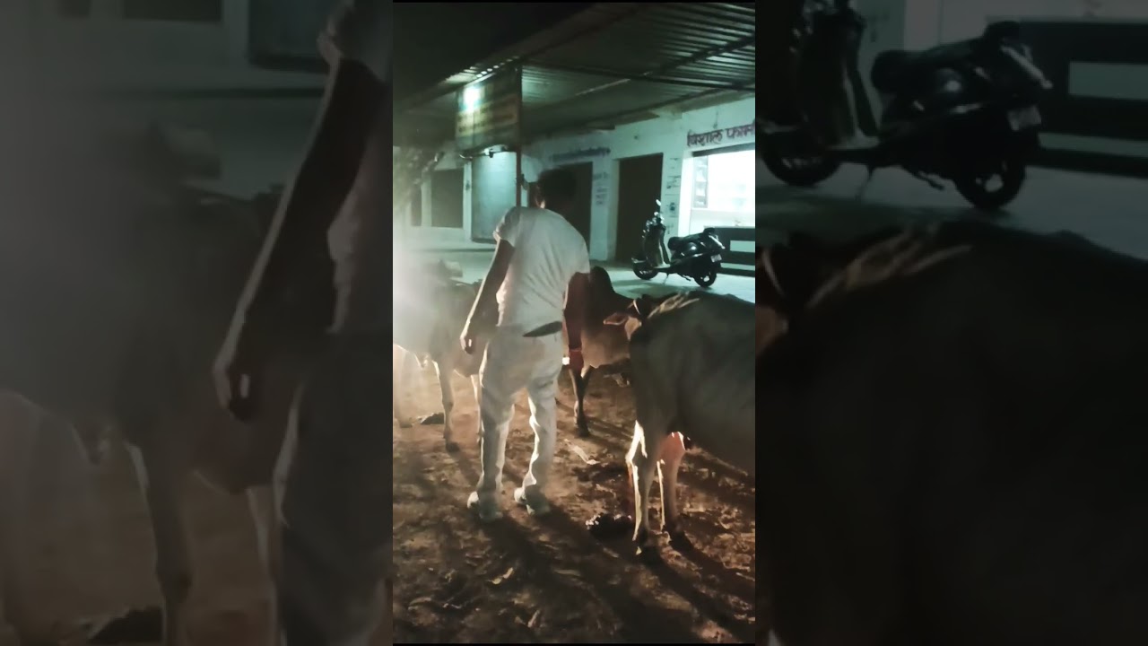 #cow