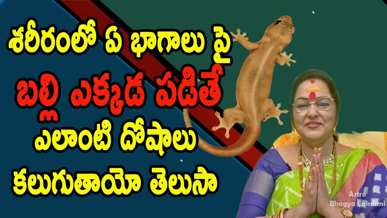 శరీరంలో ఏ భాగాలు పై బల్లి ఎక్కడ పడితే ఎలాంటి దోషాలు కలుగుతాయో తెలుసా! |DR Bhaghya lakshmi reddy