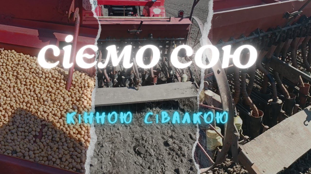 Посів сої кінною сівалкою.