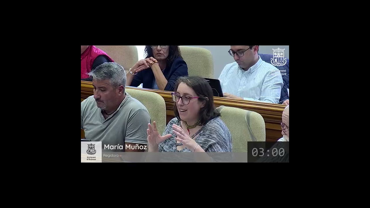 Ple Municipal 29 d'abril de 2025