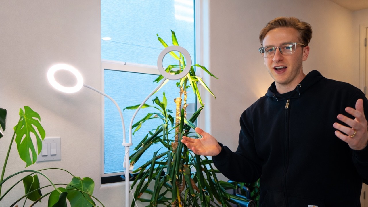 LBW Floor Plant Light – Can It Replace Natural Sunlight?