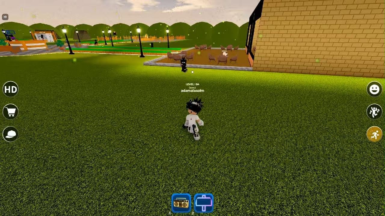 Roblox_20260223145230