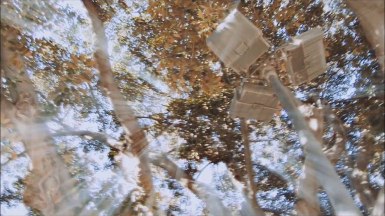 Crihan - ziua alungatã