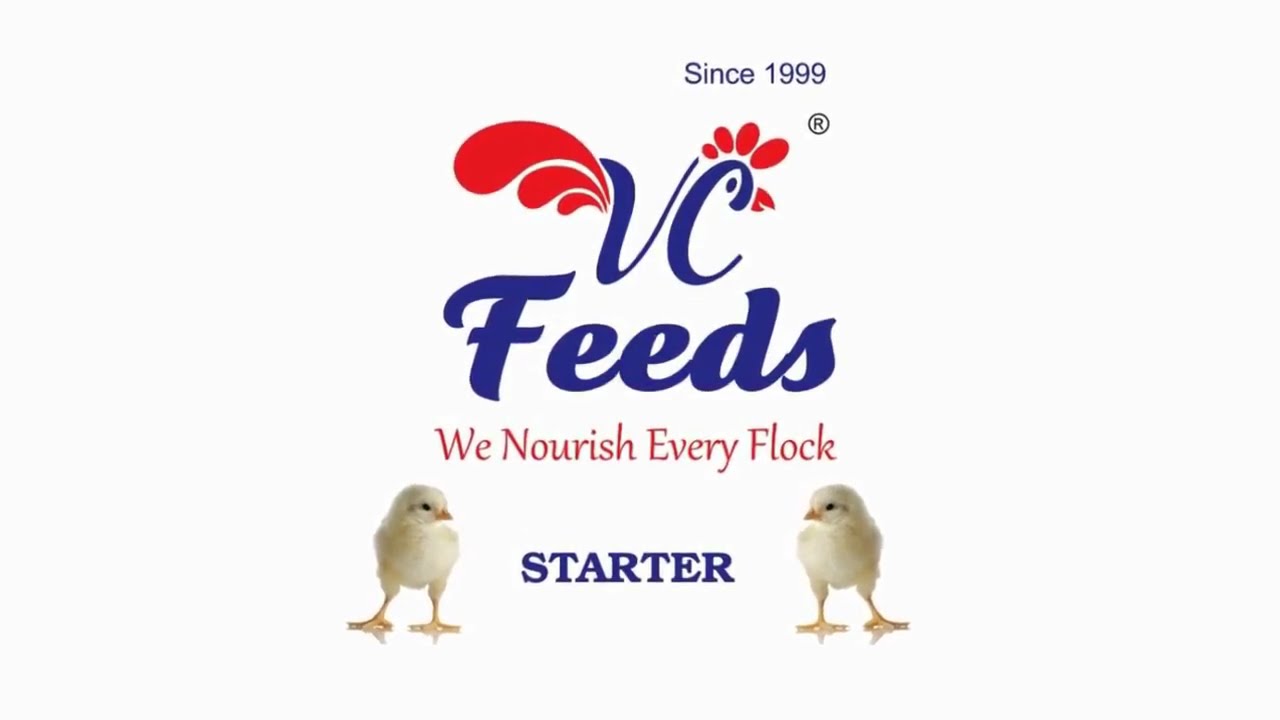 VC Feeds |Starter| Ideal for Broiler, Layer, Rooster, Country, Duck, Quail, Emu, Turkey - Bird Food
