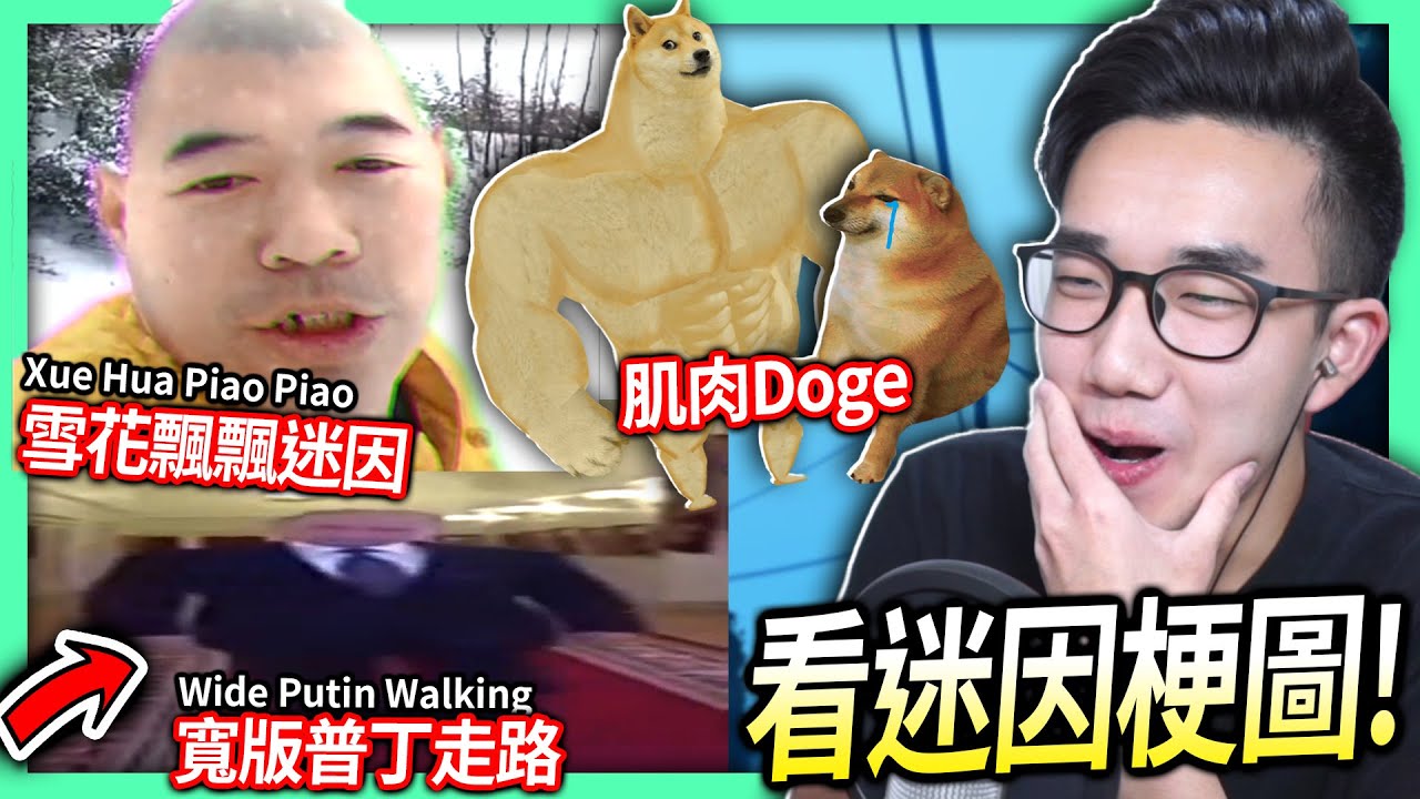 【有感筆電】看迷因梗圖#11：雪花飄飄(一剪梅)迷因是什麼?! 寬版普丁走路！肌肉柴犬Doge！😎【每2周更新啦】
