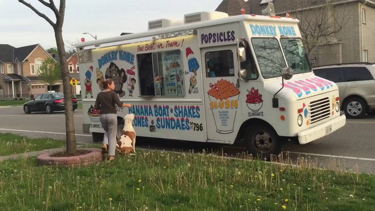 Pit Bull Lining Up at Ice Cream Truck