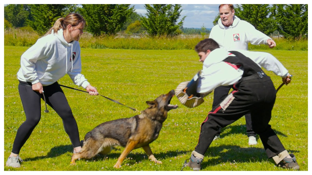 Introduction To Bite Work!