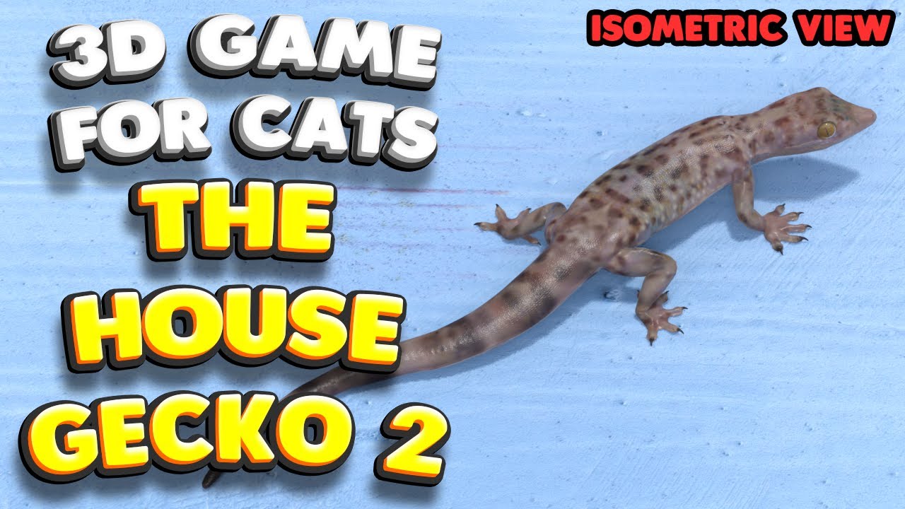 3D game for cats | The house gecko 2 (isometric view) | 4K, 60 fps, stereo sound