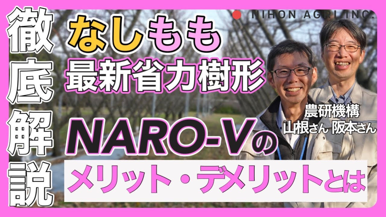 【徹底解説】農研機構×日本農業が挑む！なし・ももの最新省力樹形NARO-Vを解説します！